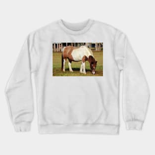 American Paint Horse Crewneck Sweatshirt